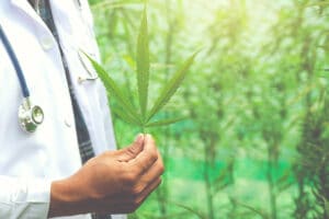 CBD et vertues thérapeutiques