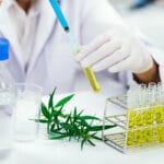 test CBD