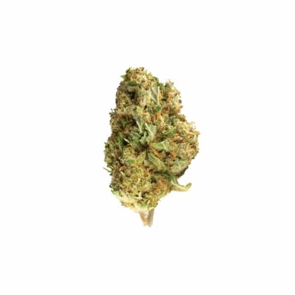 Fleur de CBD Amnésia – Indoor
